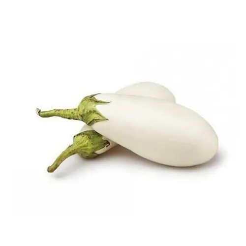 Blanca