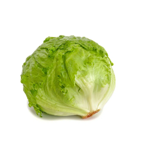 Iceberg
