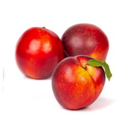 Nectarina