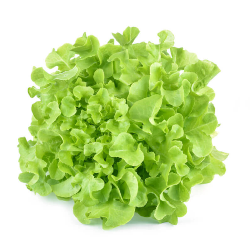 Salad Bowl Verde