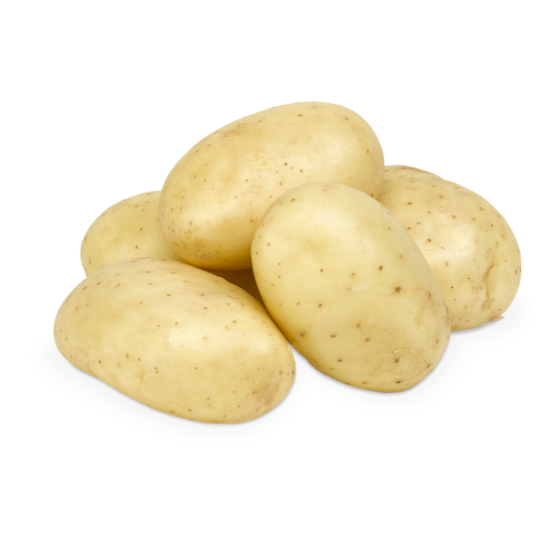 Patata