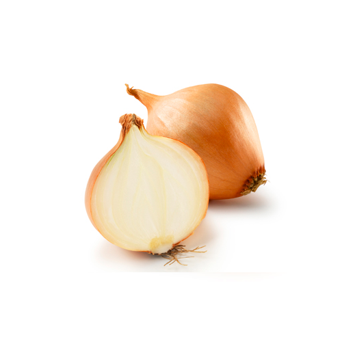 Cebolla