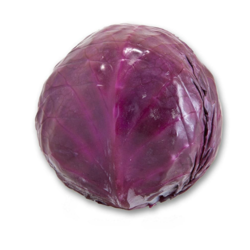 Rubra (Morada)