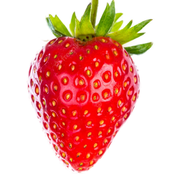 Fresa