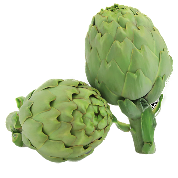 Alcachofa