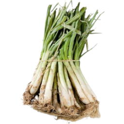 Calçot