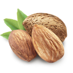 Almendro