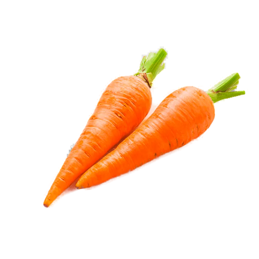 Zanahoria
