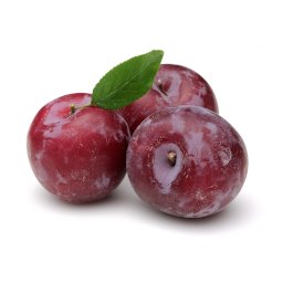 Ciruelo