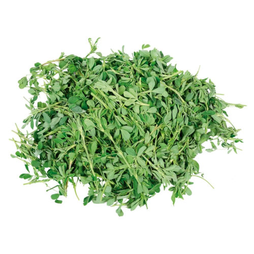 Alfalfa