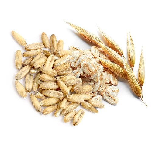 Avena