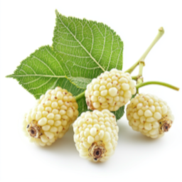 Blanca